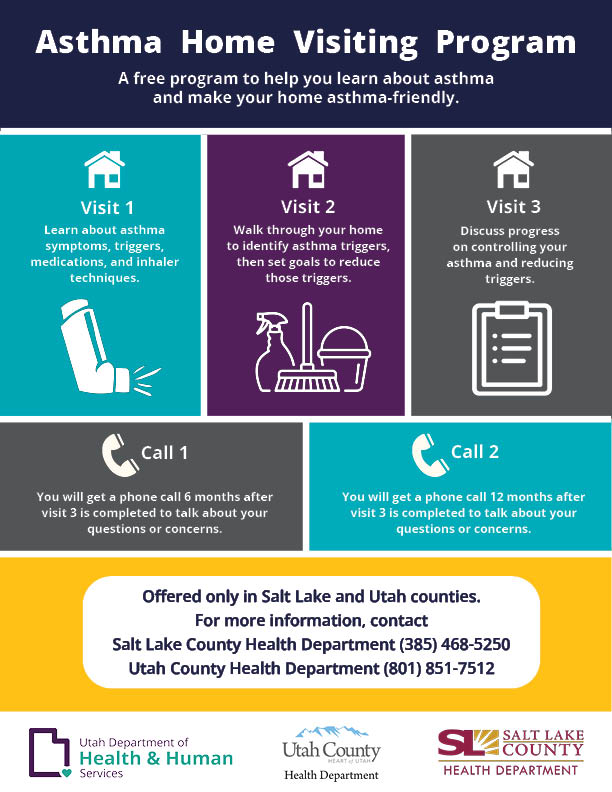 Website-Home-visiting-infographic-flyer